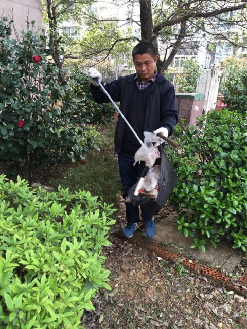 �����󺦡�Ԥ������������������������������������Э����������